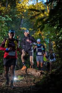 BIB: 
                            <button type="button" onclick="openModal(19236980)" class="btn btn-primary btn-sm float-right btn-popup" data-toggle="modal" data-target=".modal-high-quality">
                        <i class="fas fa-shopping-cart"></i> Add to Cart
                    </button>
                                            <button type="button" onclick="isThisMe(19236980, true)" class="btn btn-success btn-sm float-right btn-popup btn-isme hidden" data-toggle="tooltip" data-placement="bottom" title="นี่คือรูปของคุณใช่ไหม คลิกที่นี่เพื่อเอาเข้าอัลบั้ม">
                        <i class="fas fa-plus"></i> Add to album
                    </button>
                    <button type="button" onclick="isThisMe(19236980, false)" class="btn btn-warning btn-sm float-right btn-popup btn-isnotme hidden">
                        <i class="fas fa-ban"></i> Remove from album
                    </button>